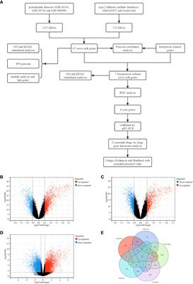 Identification of cross-talk pathways and ferroptosis-related genes in periodontitis and type 2 diabetes mellitus by bioinformatics analysis and experimental validation